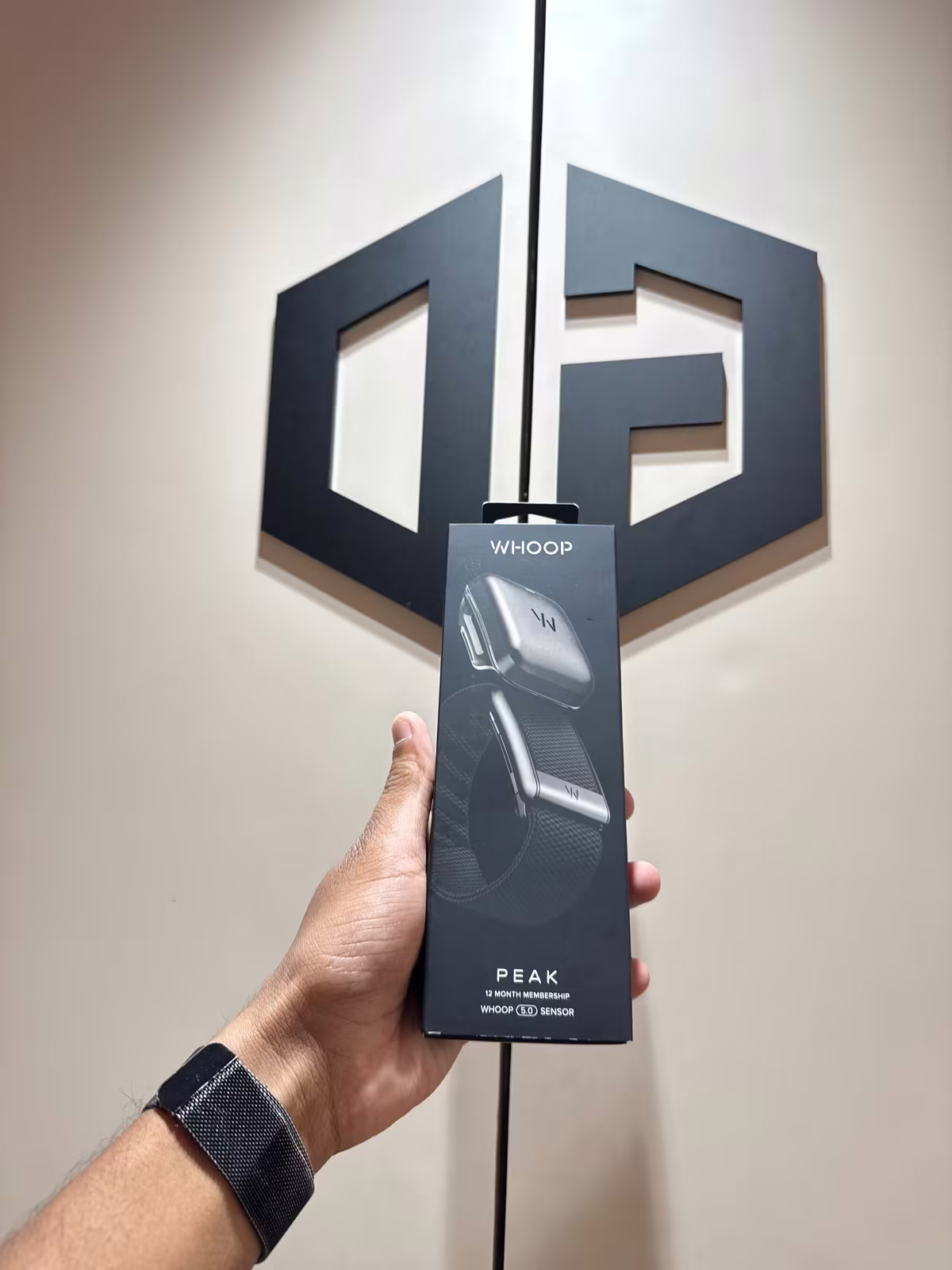 Ehoop Peak Black Model Wg50