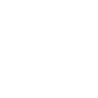 The Digital Hub